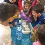 Mali hemicari Mali hemicari