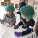 Mali hemicari Mali hemicari