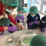 Mali hemicari Mali hemicari