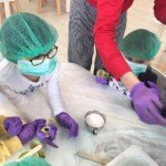 Mali hemicari Mali hemicari