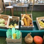 Jesenja pijaca Jesenja pijaca