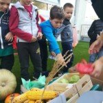 Jesenja pijaca Jesenja pijaca