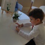 Vesnici proleca Vesnici proleca