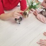 Vesnici proleca Vesnici proleca